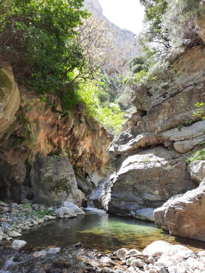 Agios Vlasios  Aelia 빌라 외부 사진